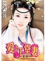 愛上下堂妻