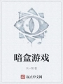暗盒游戏
