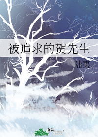 被追求的賀先生