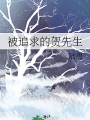 被追求的賀先生