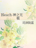 Bleach-神之無極