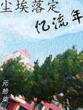 塵埃落定憶流年