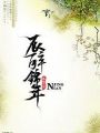 辰醉錦年