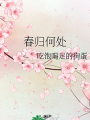 春歸何處