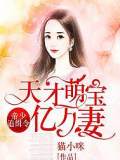 帝少追缉令，天才萌宝亿万妻