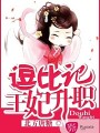 逗比王妃升職記