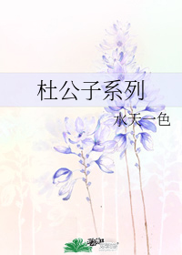 杜公子系列