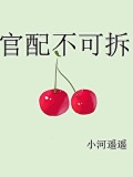 官配不可拆[穿書]