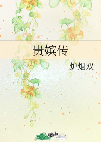 貴嬪傳