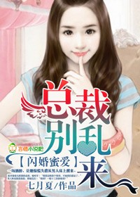 豪門閃婚，總裁太腹黑