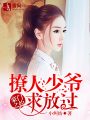 豪門之約,撩人少爺求放過