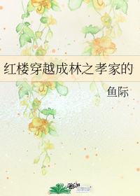 紅樓穿越成林之孝家的