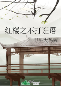 紅樓之不打誑語