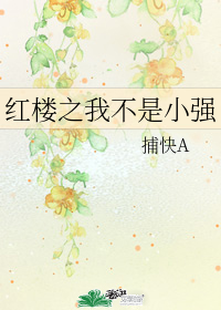 紅樓之我不是小強