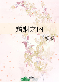婚姻之內