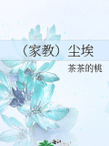 （家教）塵埃