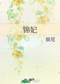 錦妃