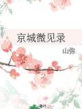 京城微見(jiàn)錄