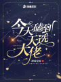 今天磕到天选大佬