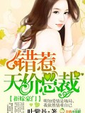 拒嫁豪门,错惹天价总裁