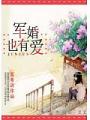 軍婚也有愛