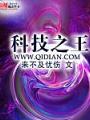 科技之王