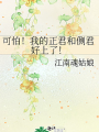 可怕！我的正君和側君好上了！