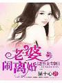 老公太專制:老婆,鬧離婚