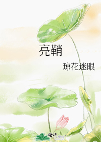 亮鞘