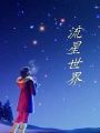 流星世界