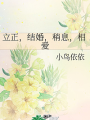 立正，結婚，稍息，相愛