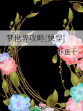 夢(mèng)世界攻略[快穿]