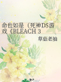 命也如是（死神DS遊戲《BLEACH 3rd Phantom》同人）