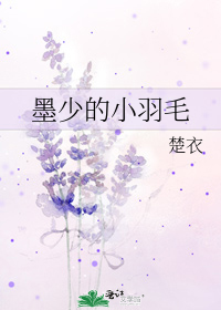 墨少的小羽毛