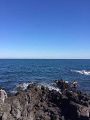 無人島漂流100天日記 包子漫畫 無人島漂流100天日記 包子漫畫