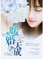 暖婚天成
