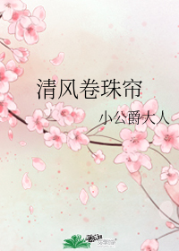 清風捲珠簾
