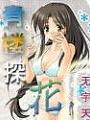 青樓探花