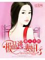 妻人太甚：極品逃妻好V5