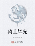 騎士輝光