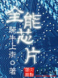 全能芯片