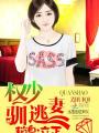 權少馴逃妻:稍息,立正