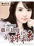 撒旦劫情:前妻,乖乖回来