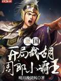 三国：开局截胡周郎小霸王