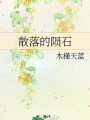 散落的隕石