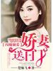 閃婚強愛，嬌妻送上門