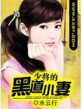 少將的黑道小妻