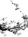 盛世女镖师