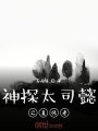 神探太司懿之復仇者