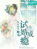 试婚成瘾